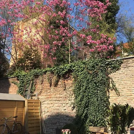 Beautiful And Cozy Remise For Up To 6 Guests 베를린